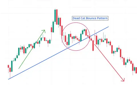 Dead Cat Bounce